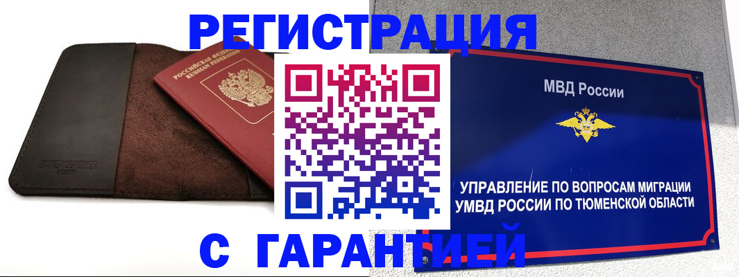 где прописаться в Коле